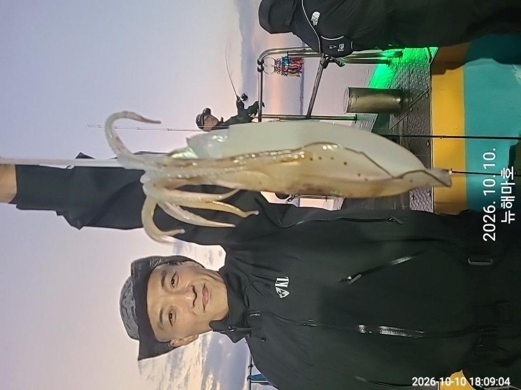 낚시뚜,무늬오징어,영일만항,뉴해마호,낚시뚜16