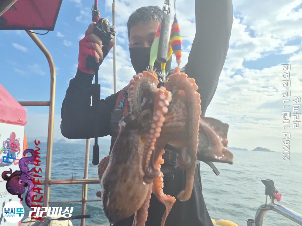 낚시뚜,돌문어,속천항(진해),라라피싱,낚시뚜3