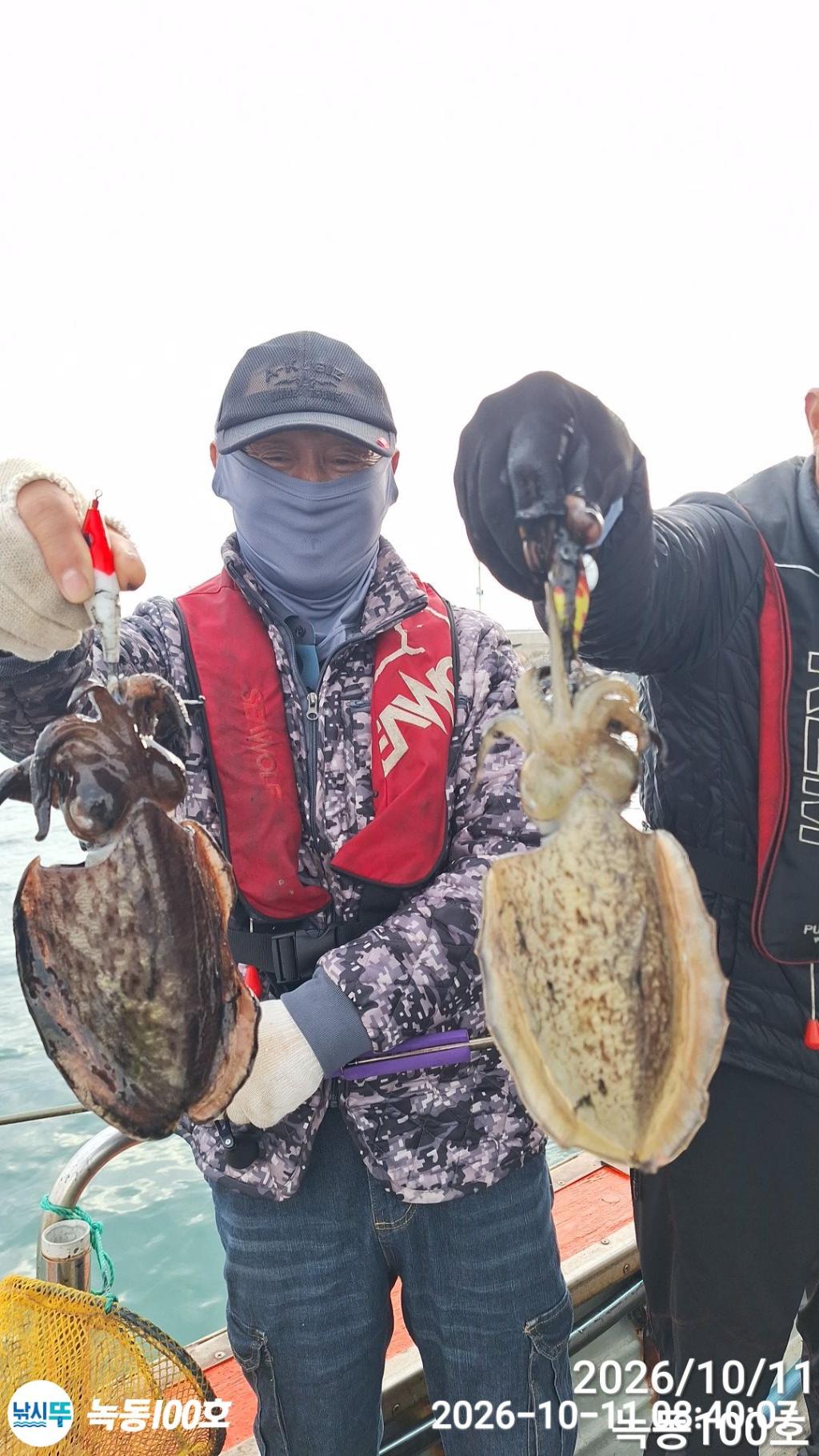 낚시뚜,갑오징어,돌문어,녹동항,녹동100호,낚시뚜5
