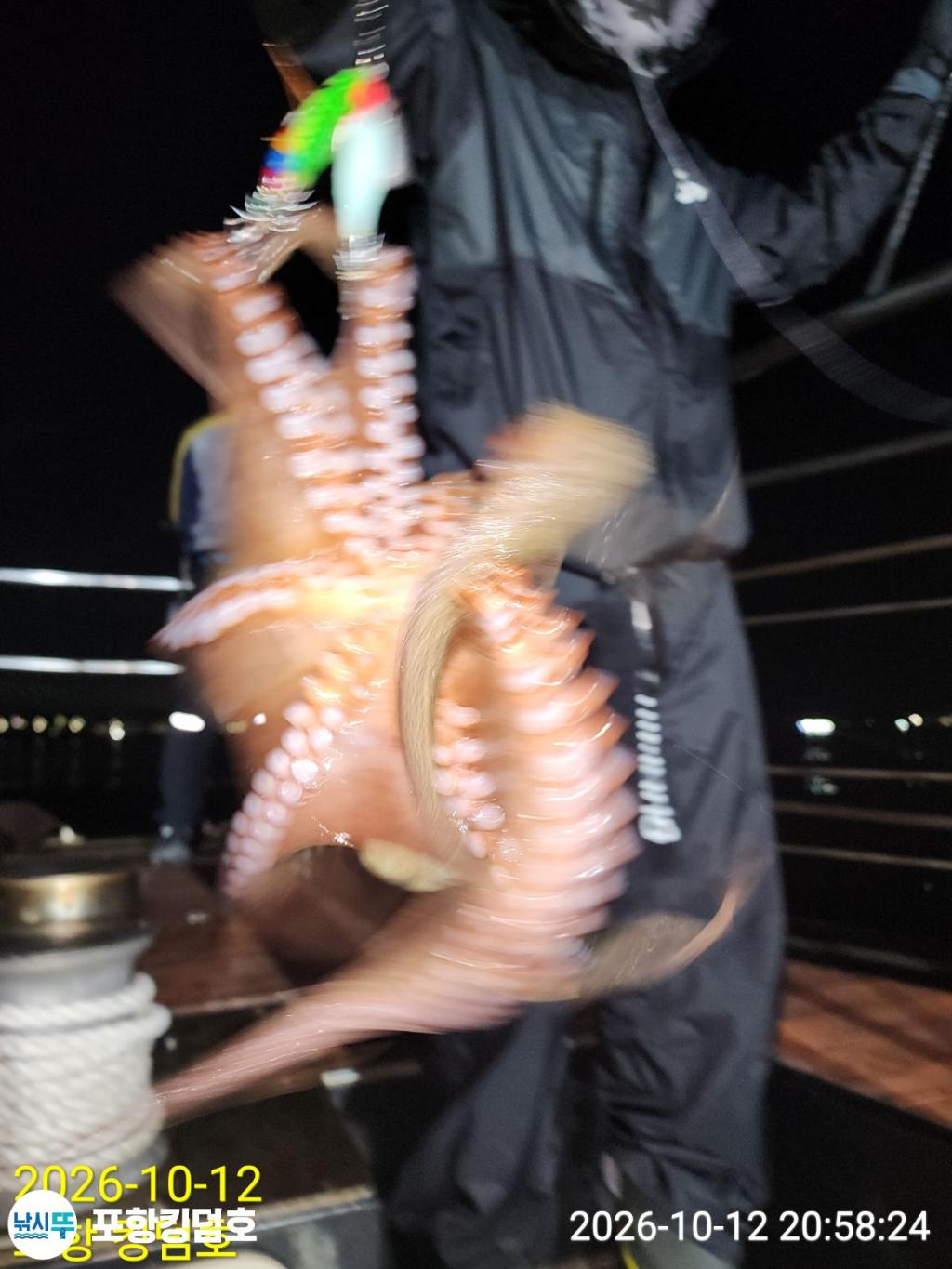 낚시뚜,돌문어,영일만항,포항 킹덤호,낚시뚜32