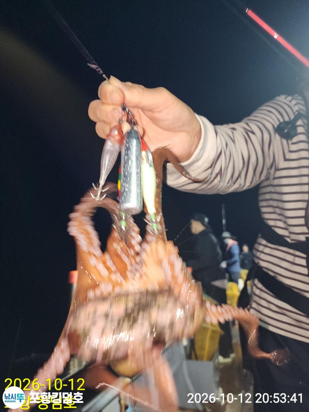 낚시뚜,돌문어,영일만항,포항 킹덤호,낚시뚜30