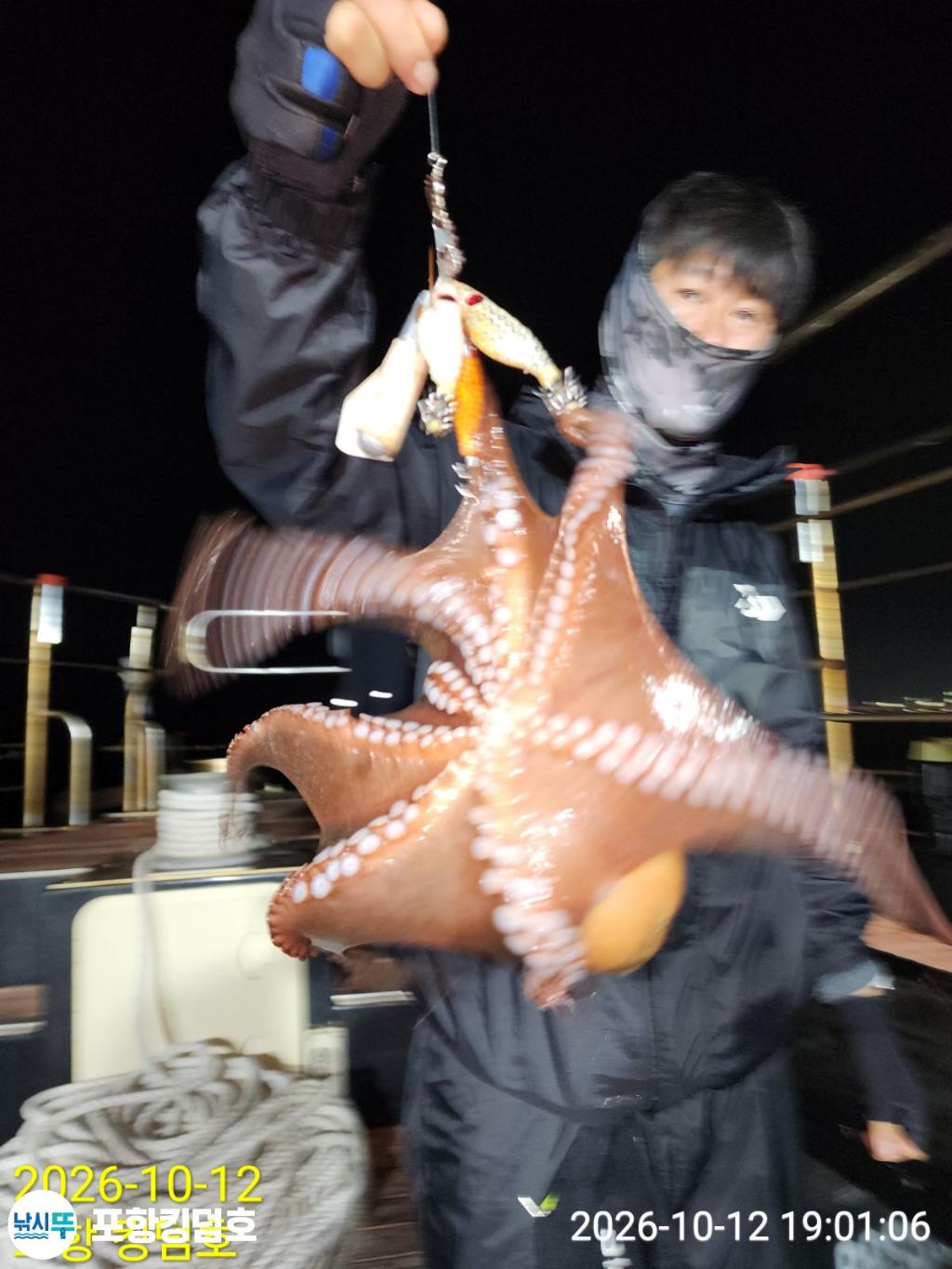 낚시뚜,돌문어,영일만항,포항 킹덤호,낚시뚜17