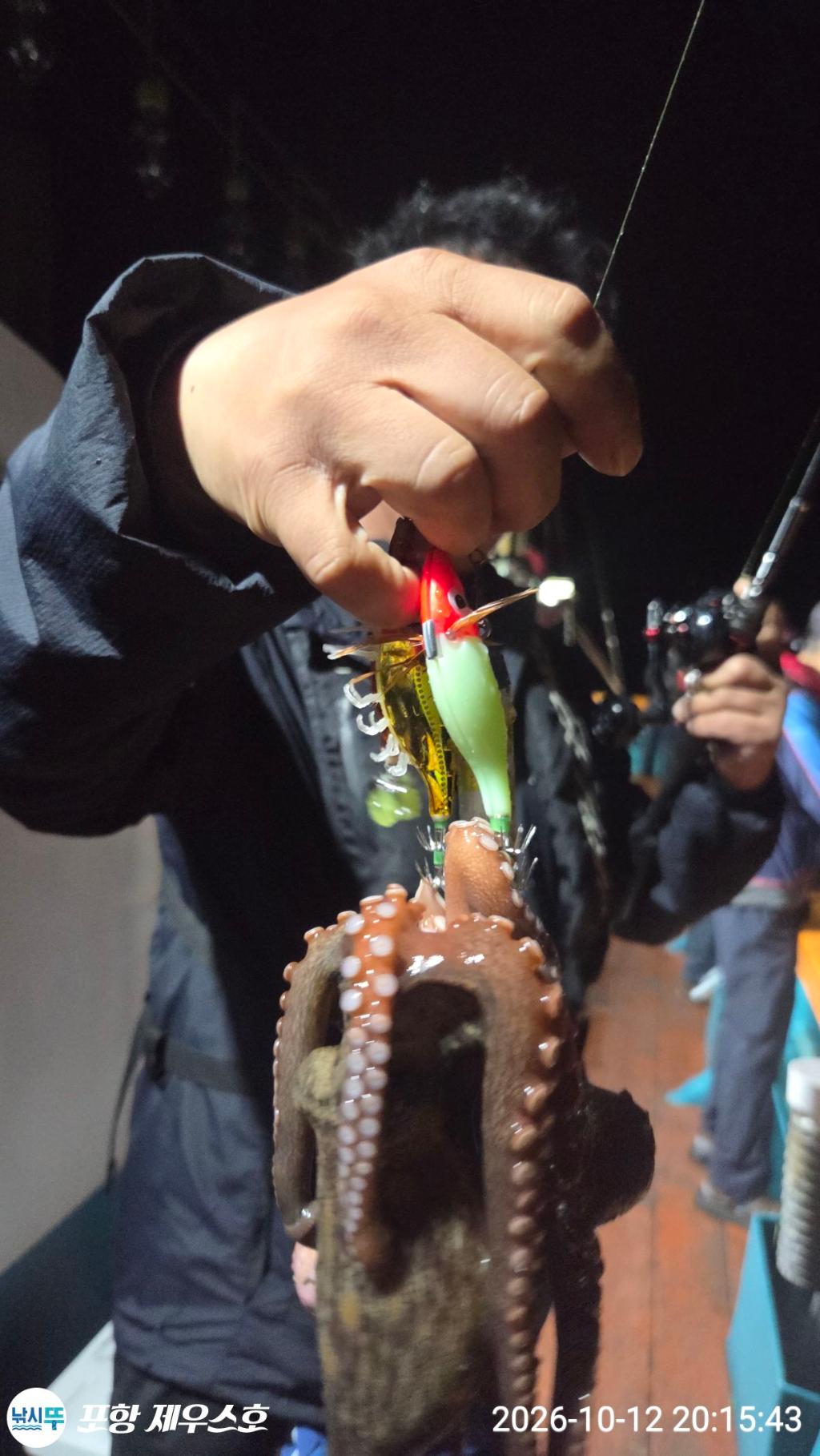 낚시뚜,돌문어,무늬오징어,영일만항,포항 제우스호,낚시뚜12