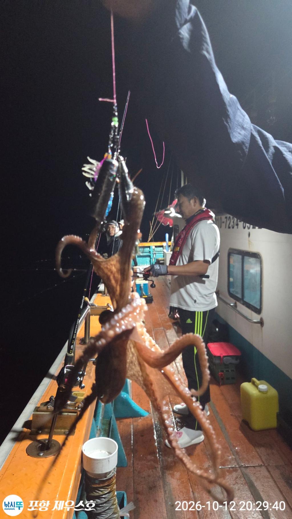 낚시뚜,돌문어,무늬오징어,영일만항,포항 제우스호,낚시뚜11