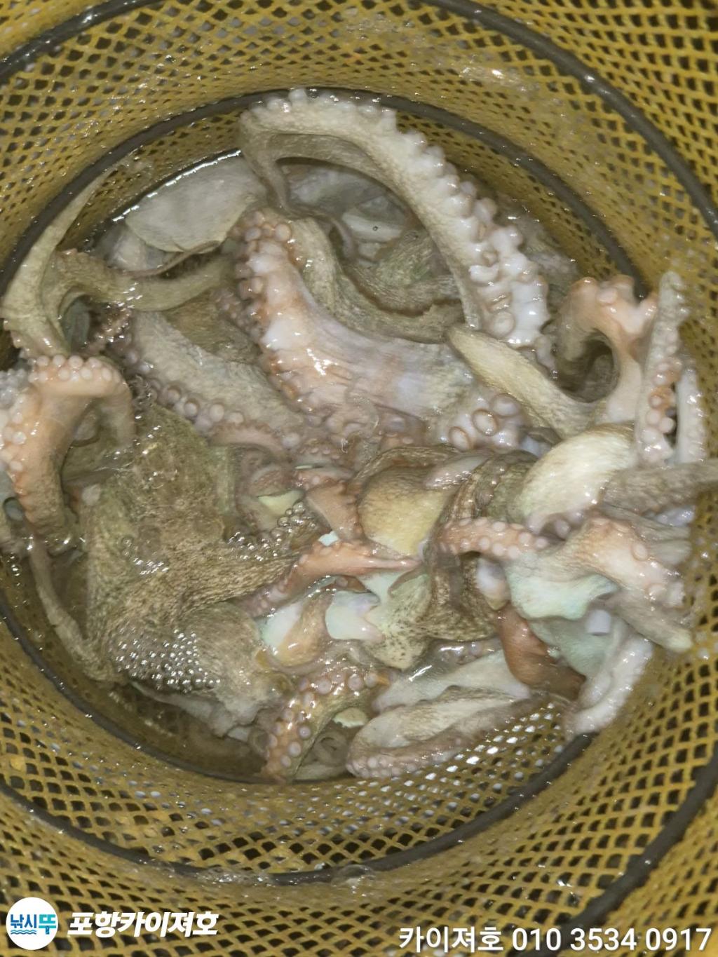 낚시뚜,기타 (직접입력),영일만항,포항카이져호,낚시뚜47
