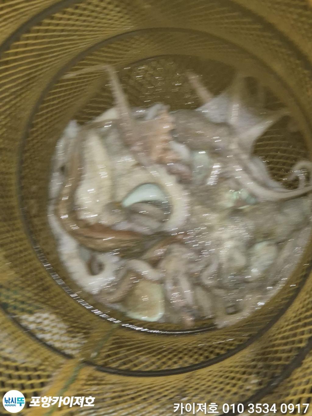 낚시뚜,기타 (직접입력),영일만항,포항카이져호,낚시뚜46