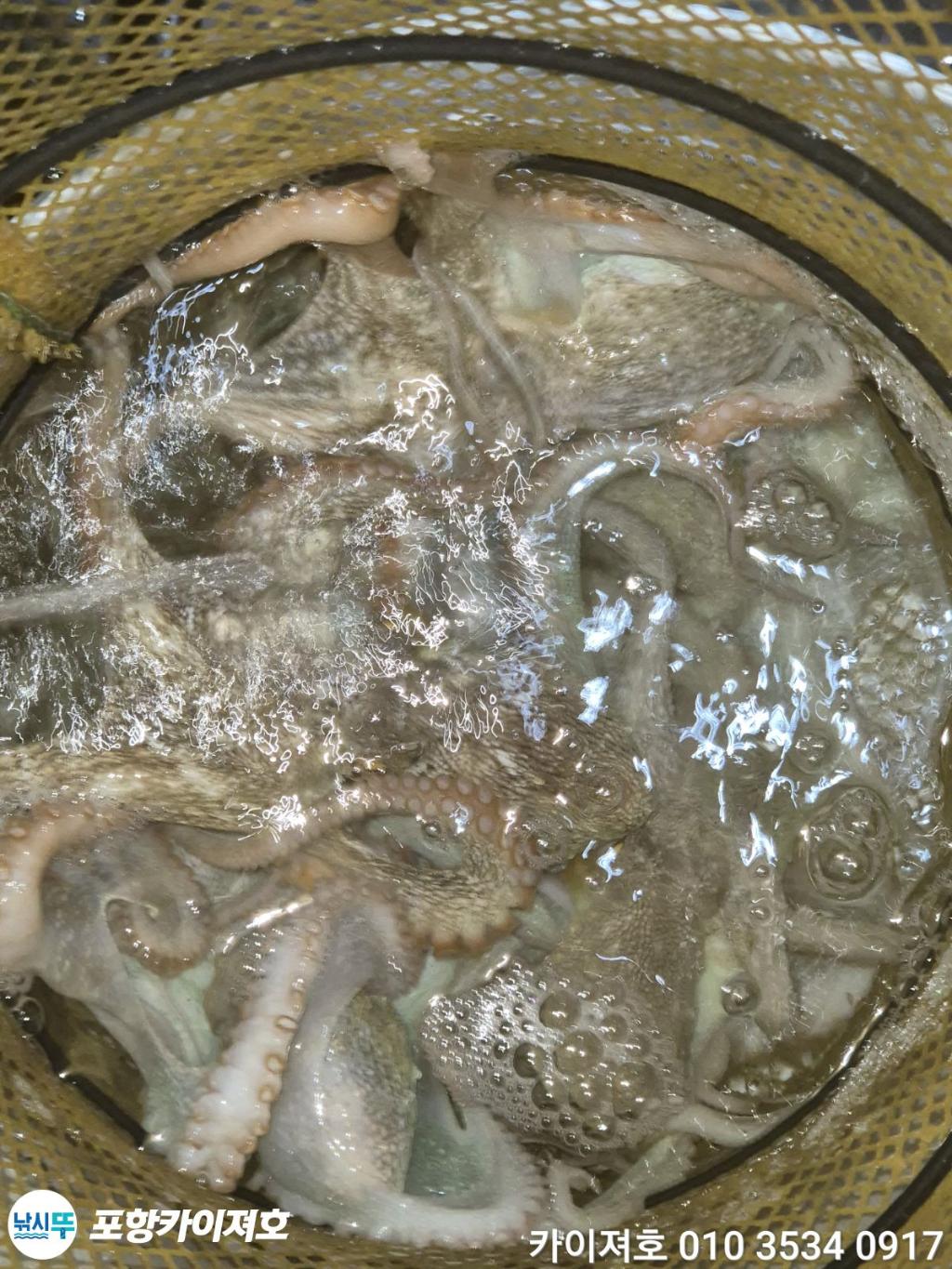 낚시뚜,기타 (직접입력),영일만항,포항카이져호,낚시뚜45