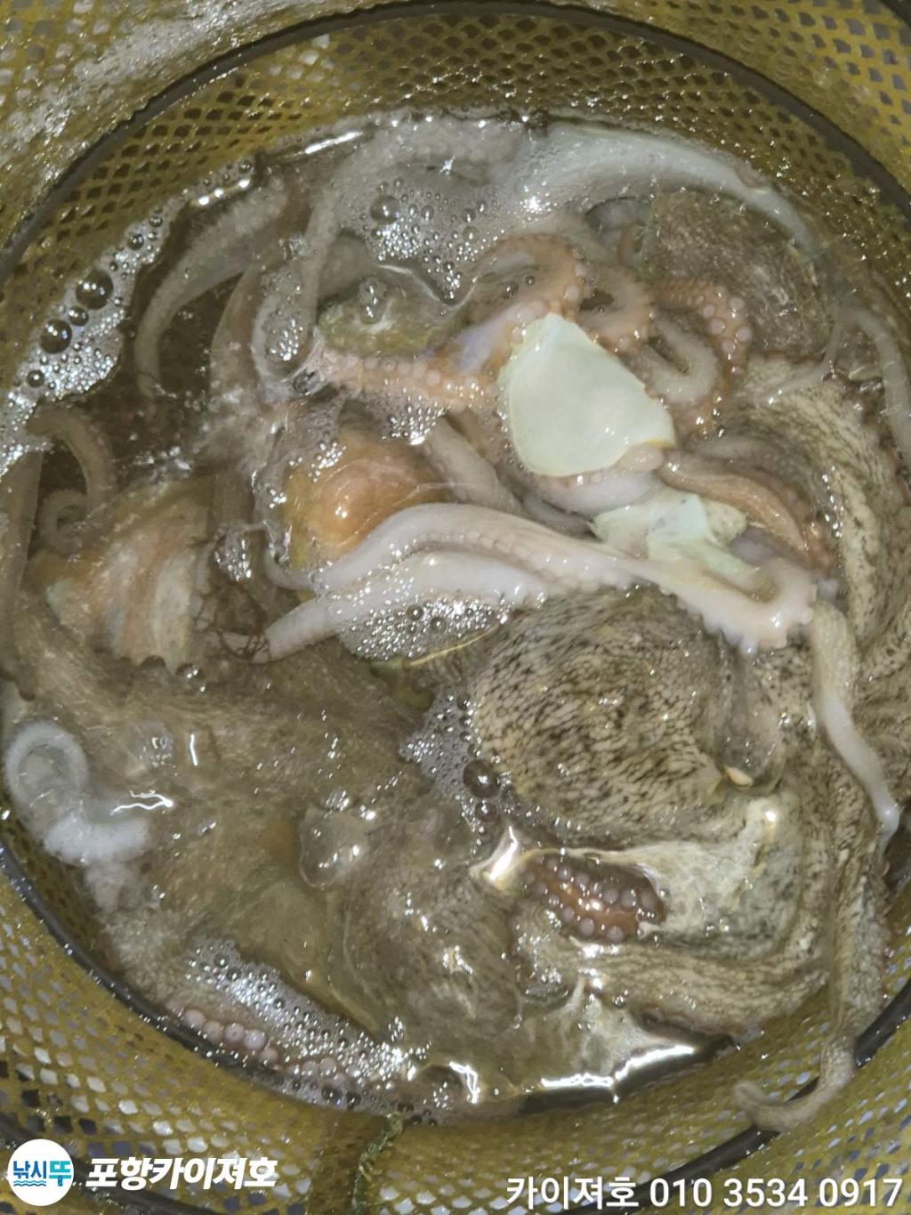 낚시뚜,기타 (직접입력),영일만항,포항카이져호,낚시뚜40