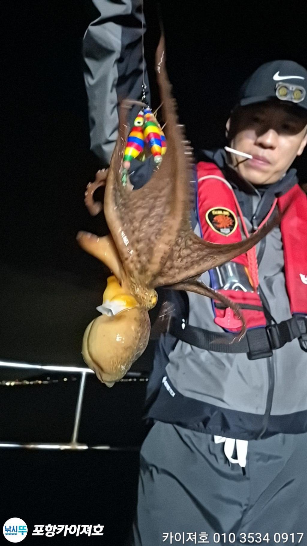 낚시뚜,기타 (직접입력),영일만항,포항카이져호,낚시뚜28