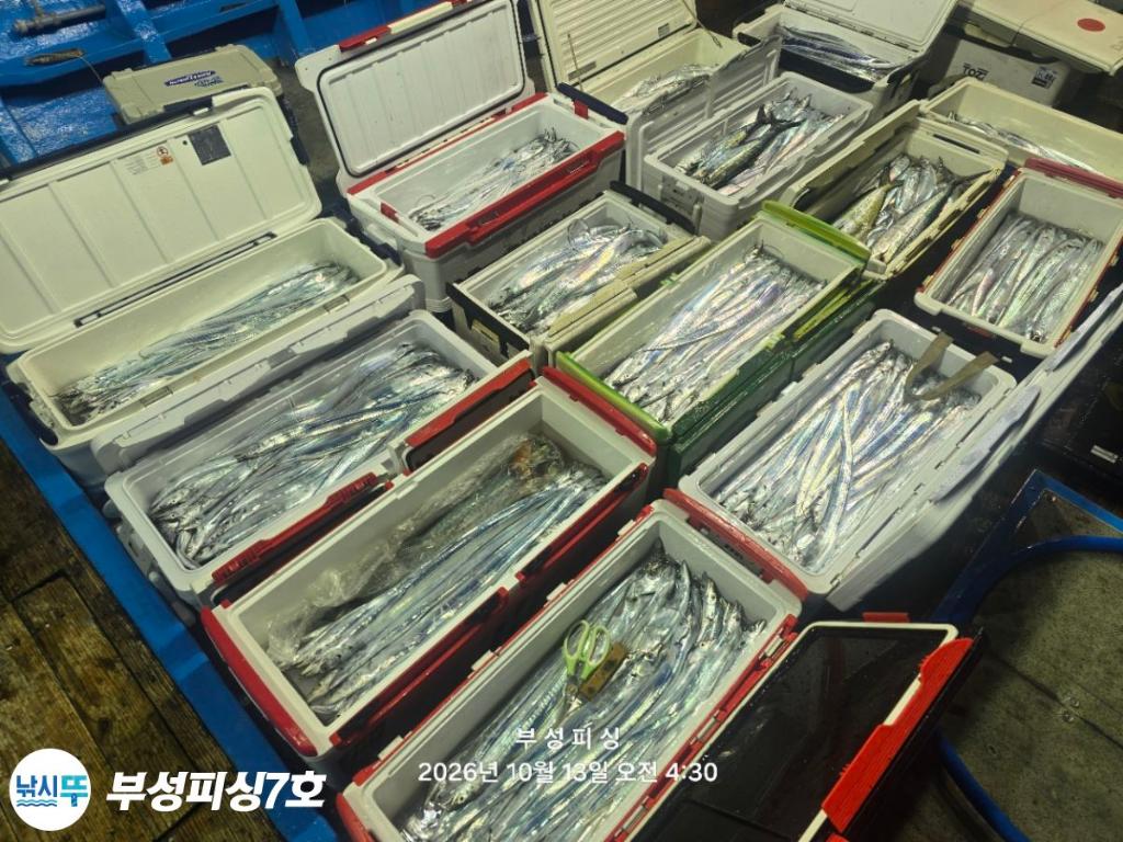 낚시뚜,갈치,통영영운리항,부성피싱7호,낚시뚜18