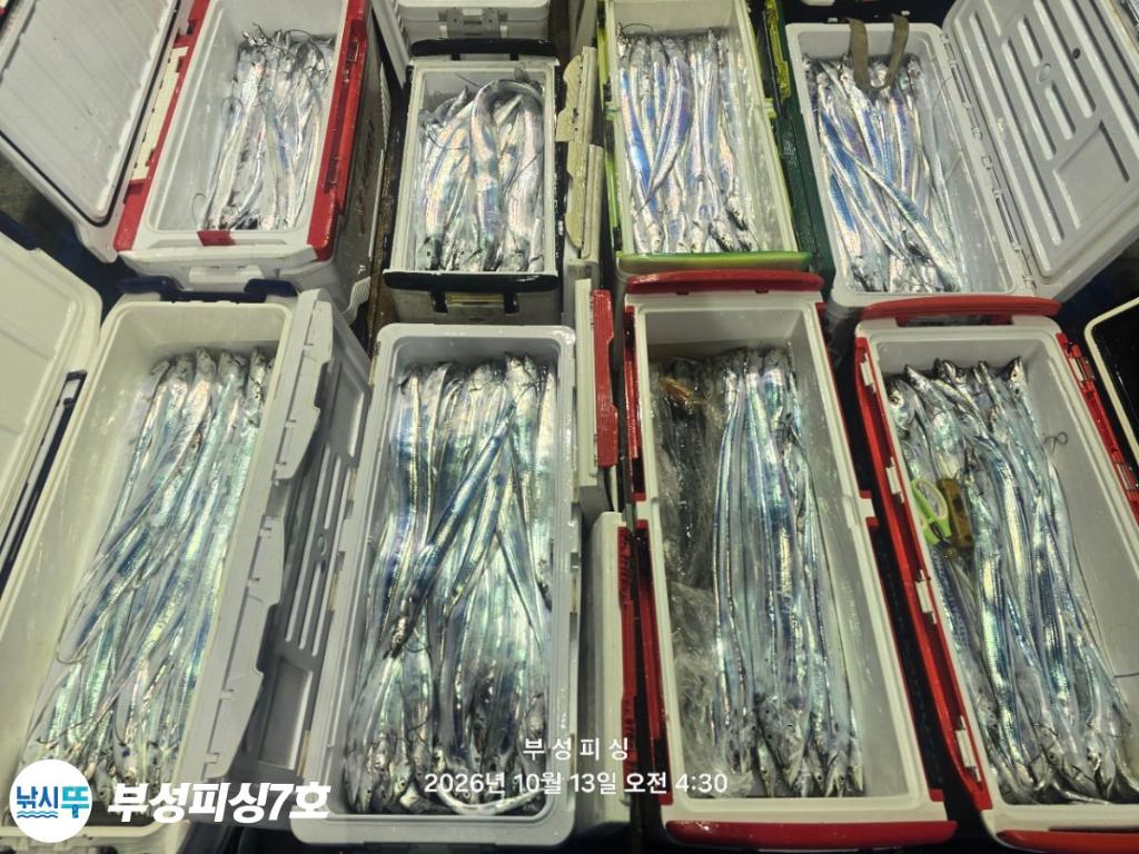 낚시뚜,갈치,통영영운리항,부성피싱7호,낚시뚜14