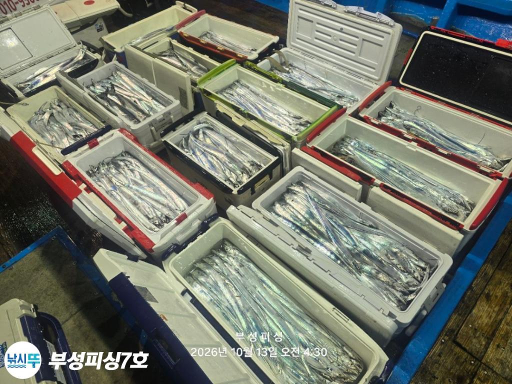 낚시뚜,갈치,통영영운리항,부성피싱7호,낚시뚜15