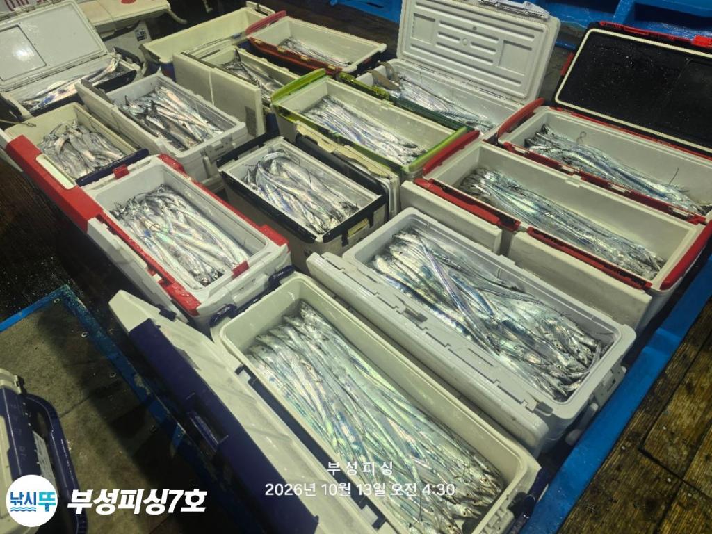 낚시뚜,갈치,통영영운리항,부성피싱7호,낚시뚜2