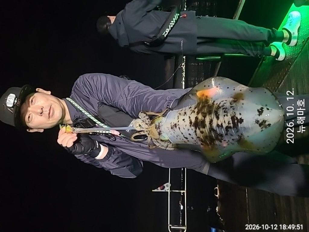 낚시뚜,무늬오징어,영일만항,뉴해마호,낚시뚜13