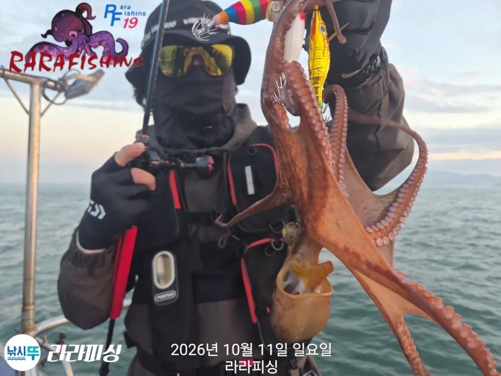 낚시뚜,돌문어,속천항(진해),라라피싱,낚시뚜10