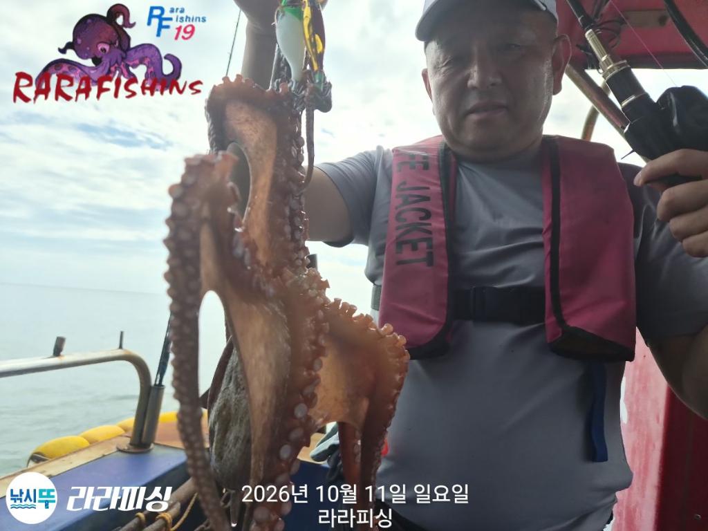 낚시뚜,돌문어,속천항(진해),라라피싱,낚시뚜2
