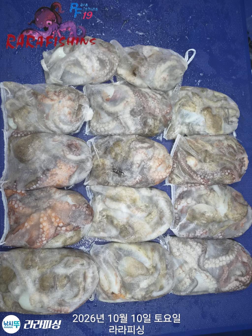 낚시뚜,돌문어,속천항(진해),라라피싱,낚시뚜1