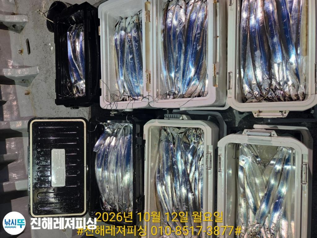 낚시뚜,갈치,진해1부두항,진해레져피싱,낚시뚜28