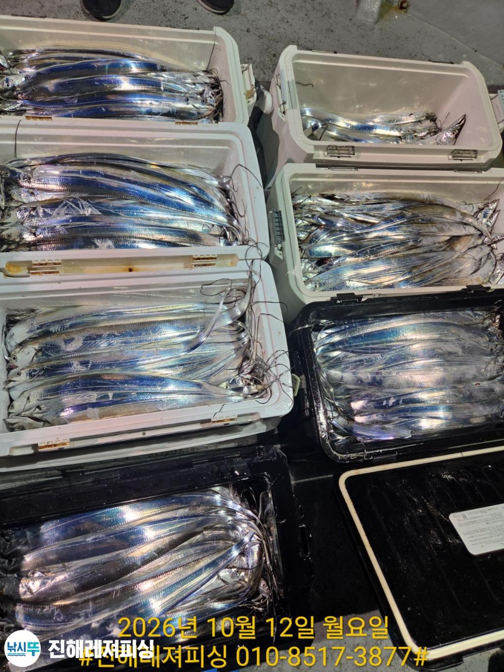 낚시뚜,갈치,진해1부두항,진해레져피싱,낚시뚜25