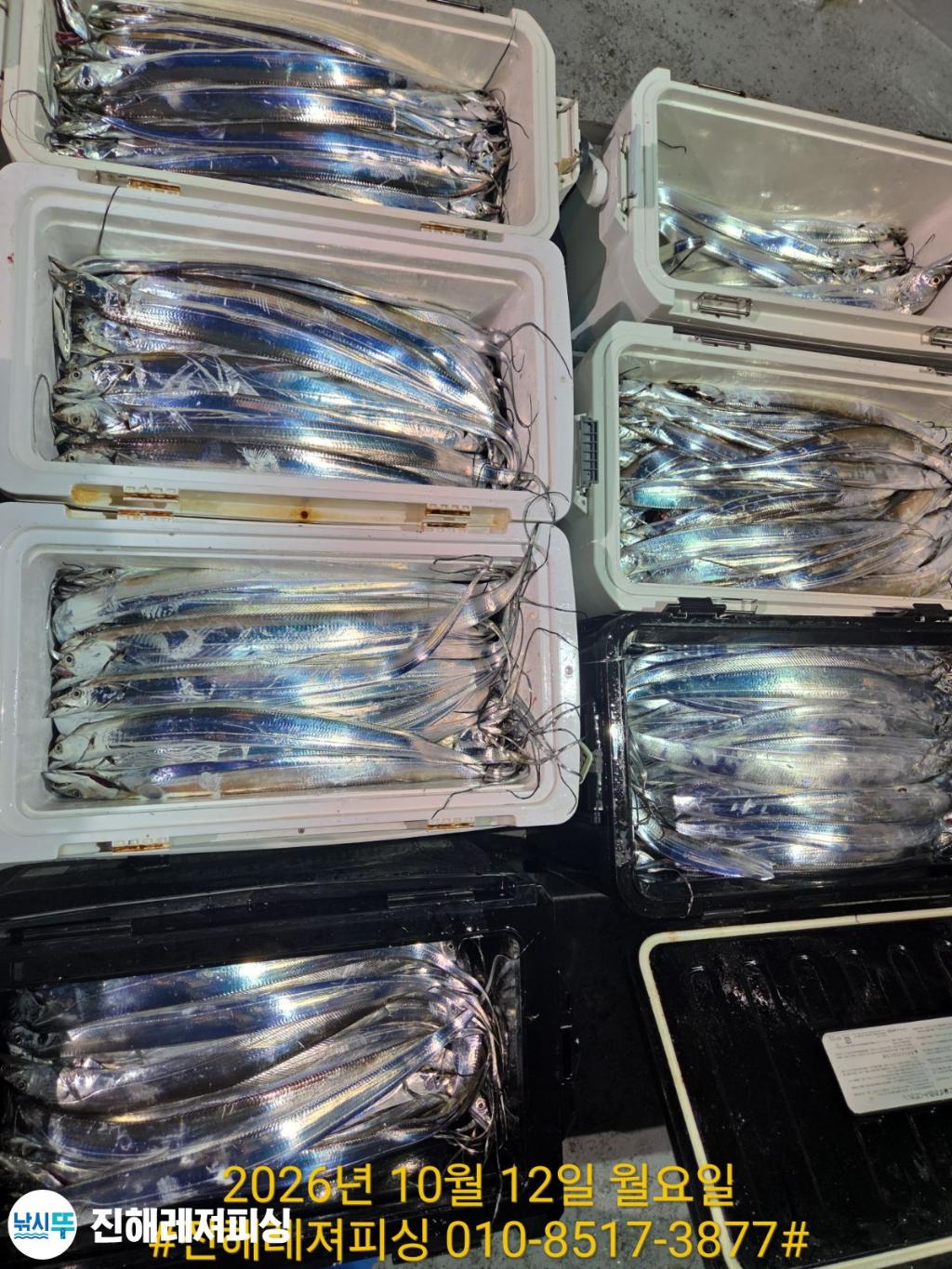 낚시뚜,갈치,진해1부두항,진해레져피싱,낚시뚜24