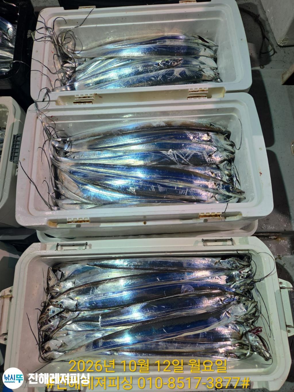 낚시뚜,갈치,진해1부두항,진해레져피싱,낚시뚜23