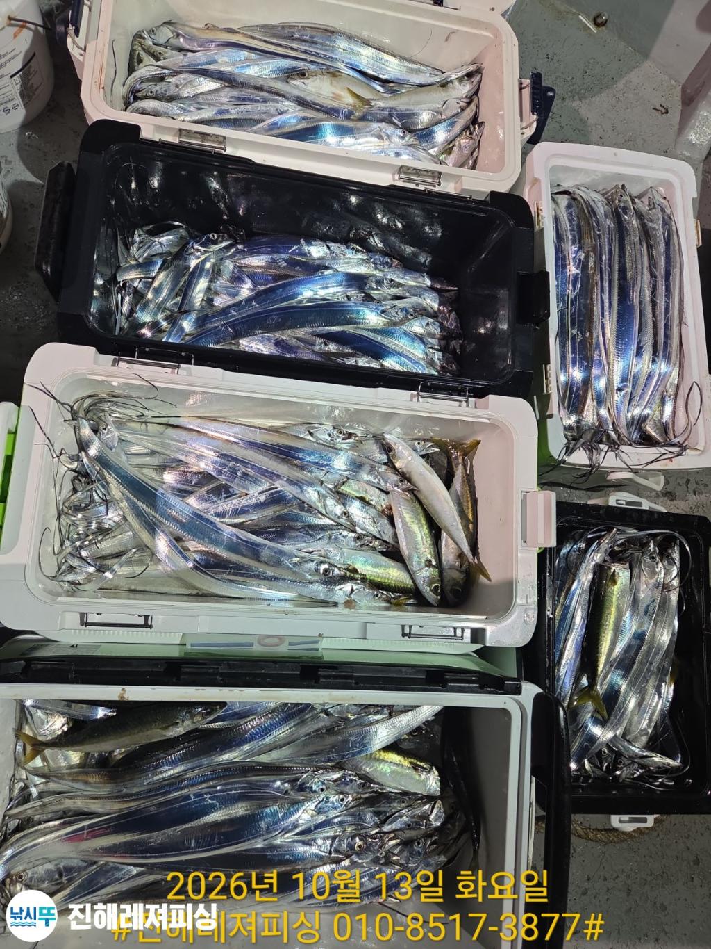 낚시뚜,갈치,진해1부두항,진해레져피싱,낚시뚜9
