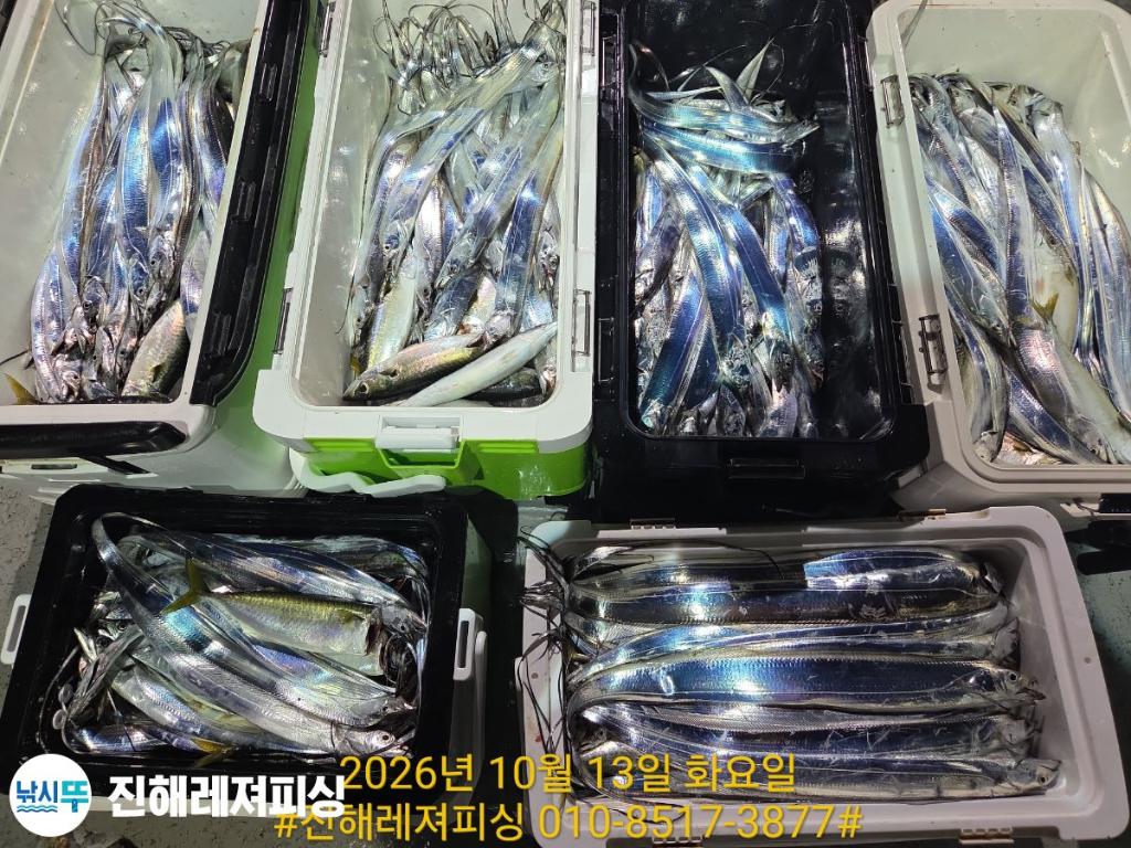 낚시뚜,갈치,진해1부두항,진해레져피싱,낚시뚜7