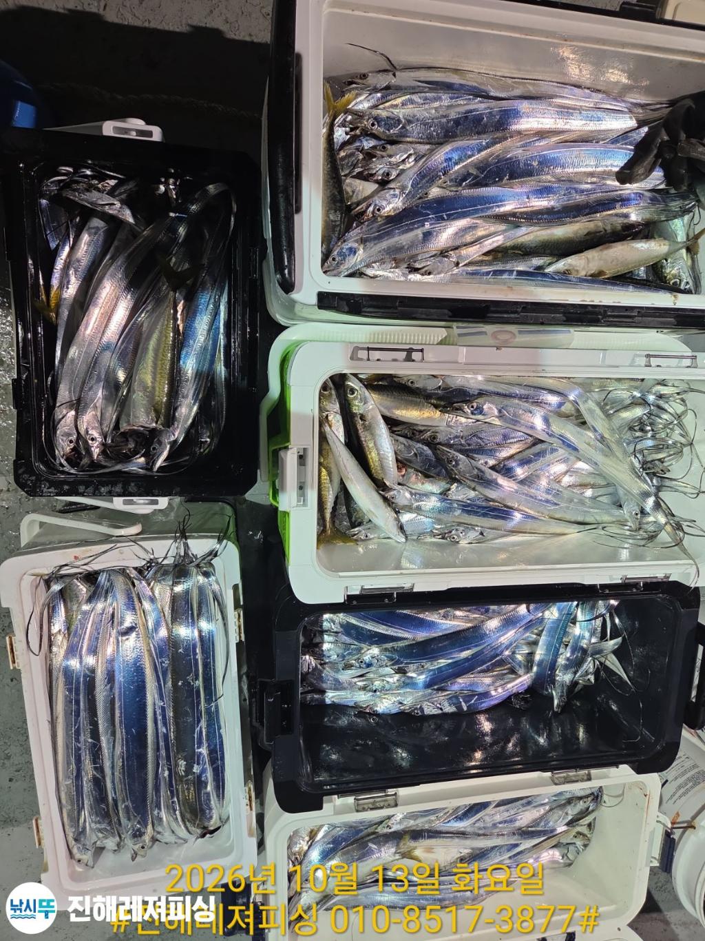 낚시뚜,갈치,진해1부두항,진해레져피싱,낚시뚜4