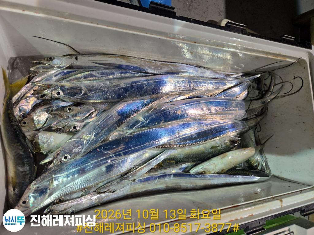 낚시뚜,갈치,진해1부두항,진해레져피싱,낚시뚜2