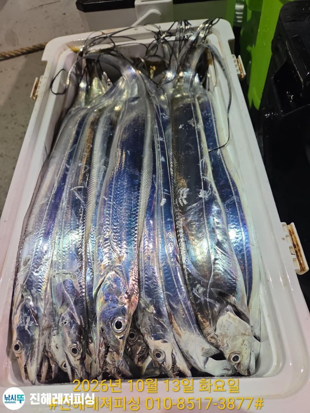낚시뚜,갈치,진해1부두항,진해레져피싱,낚시뚜1