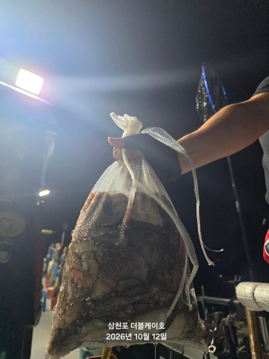 낚시뚜,돌문어,쭈꾸미,삼천포 팔포항,삼천포 더블케이호,낚시뚜0