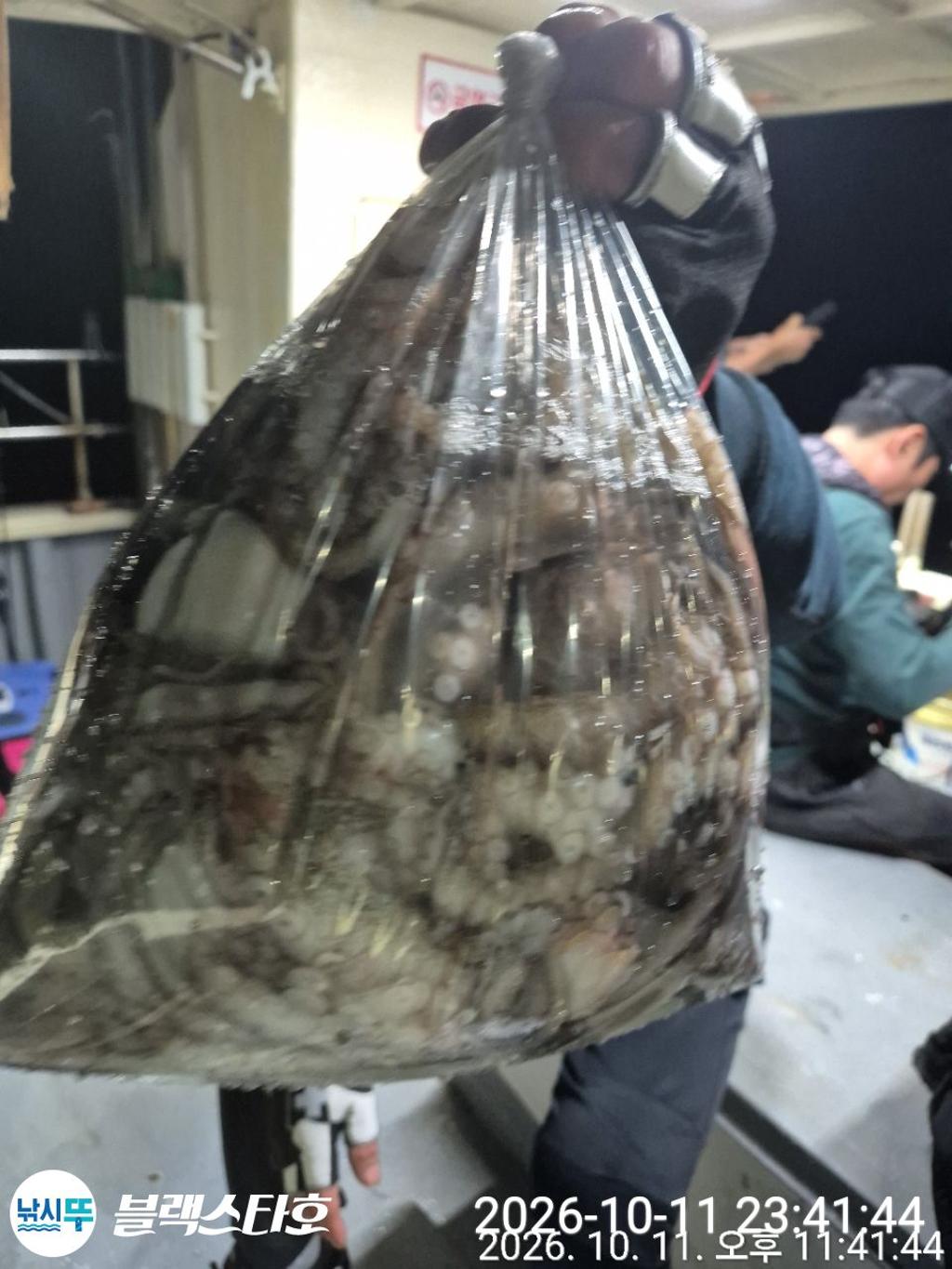 낚시뚜,돌문어,삼천포 팔포항,삼천포 블랙스타,낚시뚜0