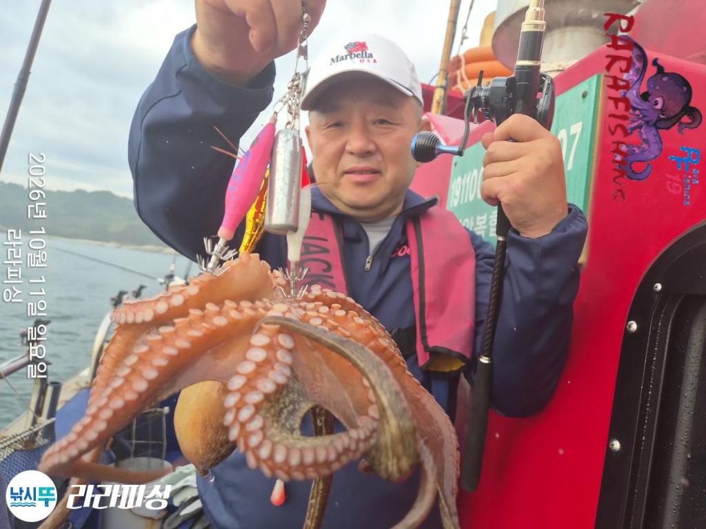 낚시뚜,돌문어,속천항(진해),라라피싱,낚시뚜6