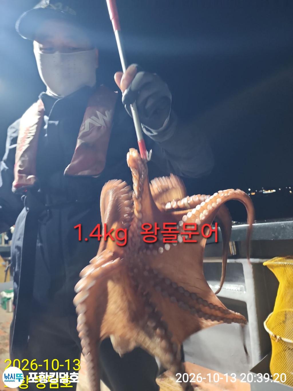 낚시뚜,돌문어,영일만항,포항 킹덤호,낚시뚜41