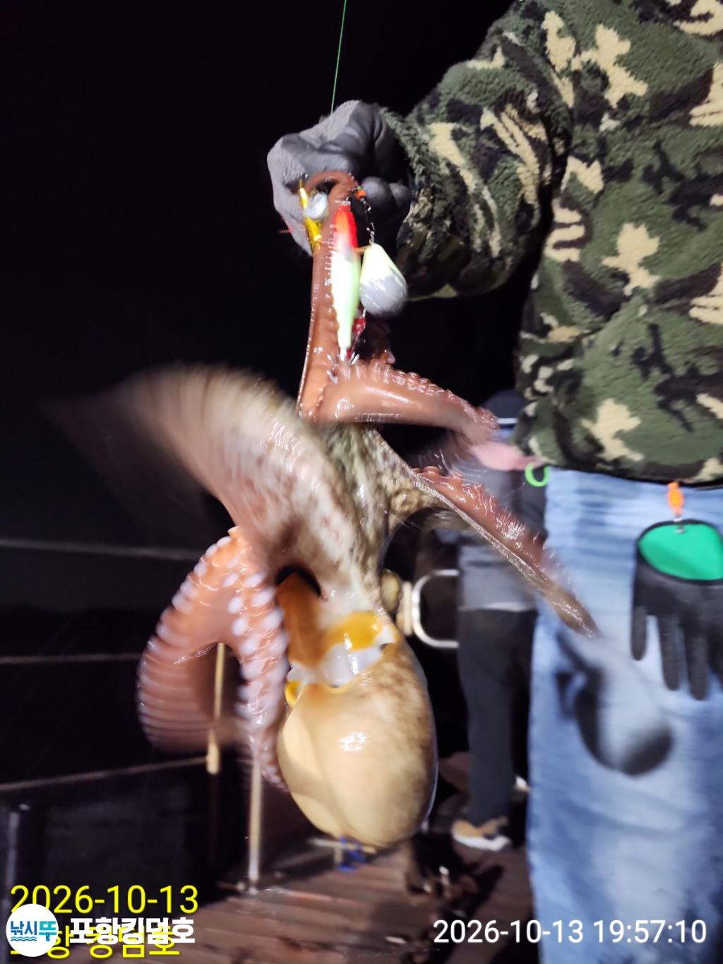 낚시뚜,돌문어,영일만항,포항 킹덤호,낚시뚜32
