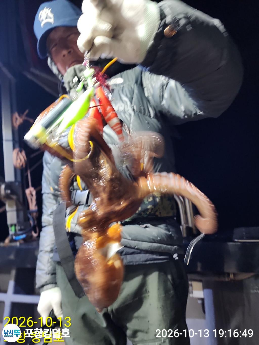 낚시뚜,돌문어,영일만항,포항 킹덤호,낚시뚜20