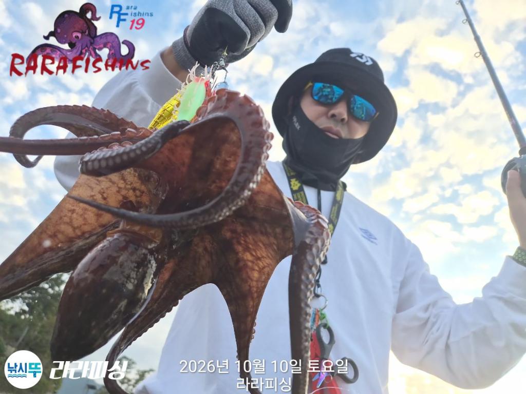 낚시뚜,돌문어,속천항(진해),라라피싱,낚시뚜9