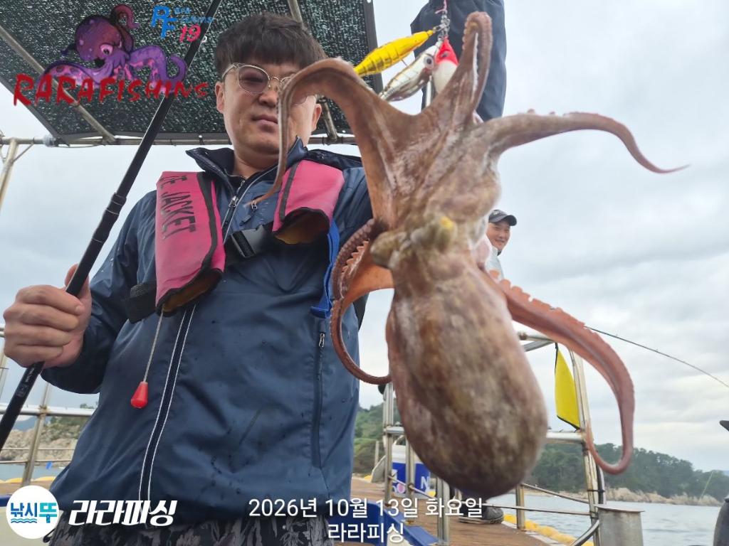 낚시뚜,돌문어,속천항(진해),라라피싱,낚시뚜2