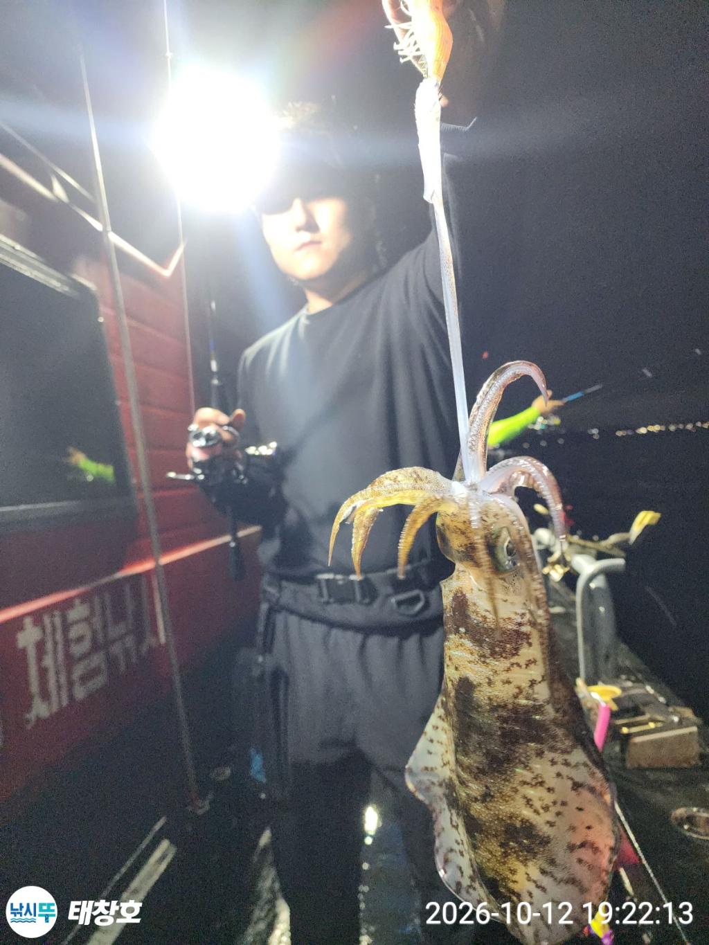 낚시뚜,무늬오징어,영일만항,태창호,낚시뚜18
