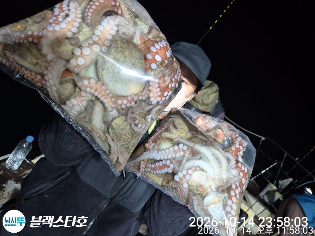 낚시뚜,돌문어,삼천포 팔포항,삼천포 블랙스타,낚시뚜24