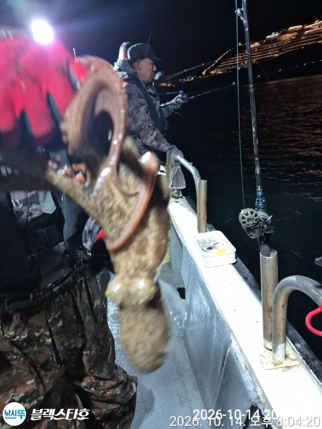 낚시뚜,돌문어,삼천포 팔포항,삼천포 블랙스타,낚시뚜10