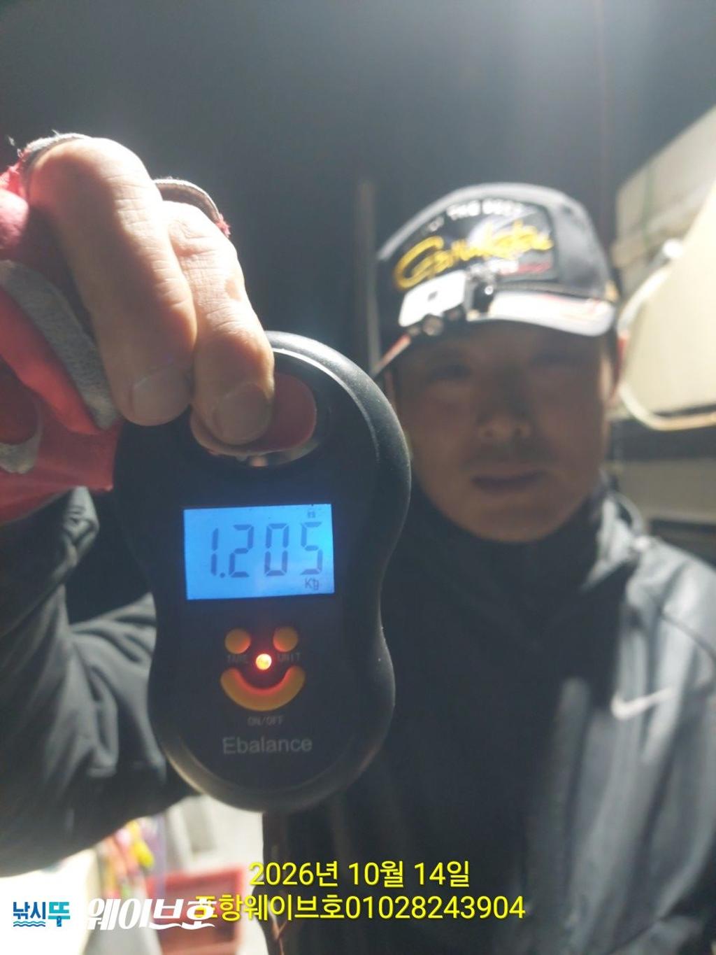 낚시뚜,무늬오징어,구룡포항,뉴웨이브호,낚시뚜0