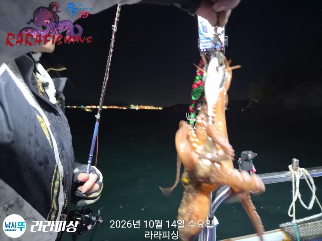 낚시뚜,돌문어,속천항(진해),라라피싱,낚시뚜7