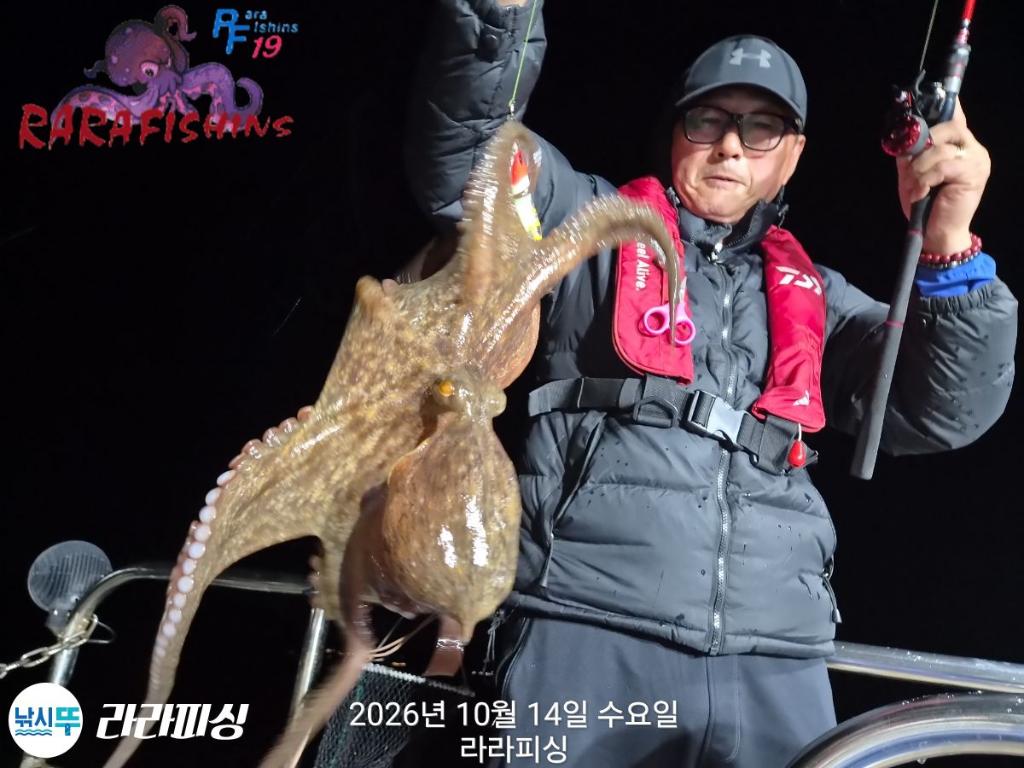 낚시뚜,돌문어,속천항(진해),라라피싱,낚시뚜6