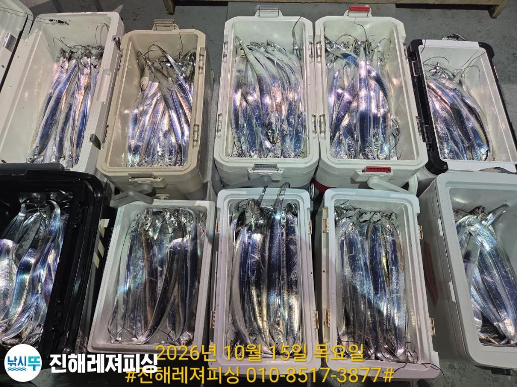 낚시뚜,갈치,진해1부두항,진해레져피싱,낚시뚜23