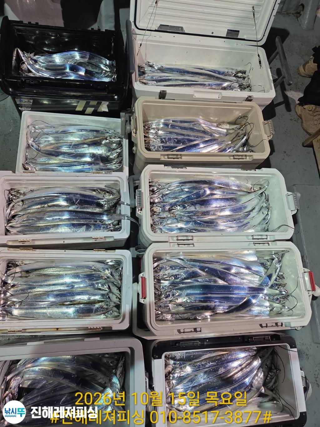 낚시뚜,갈치,진해1부두항,진해레져피싱,낚시뚜21