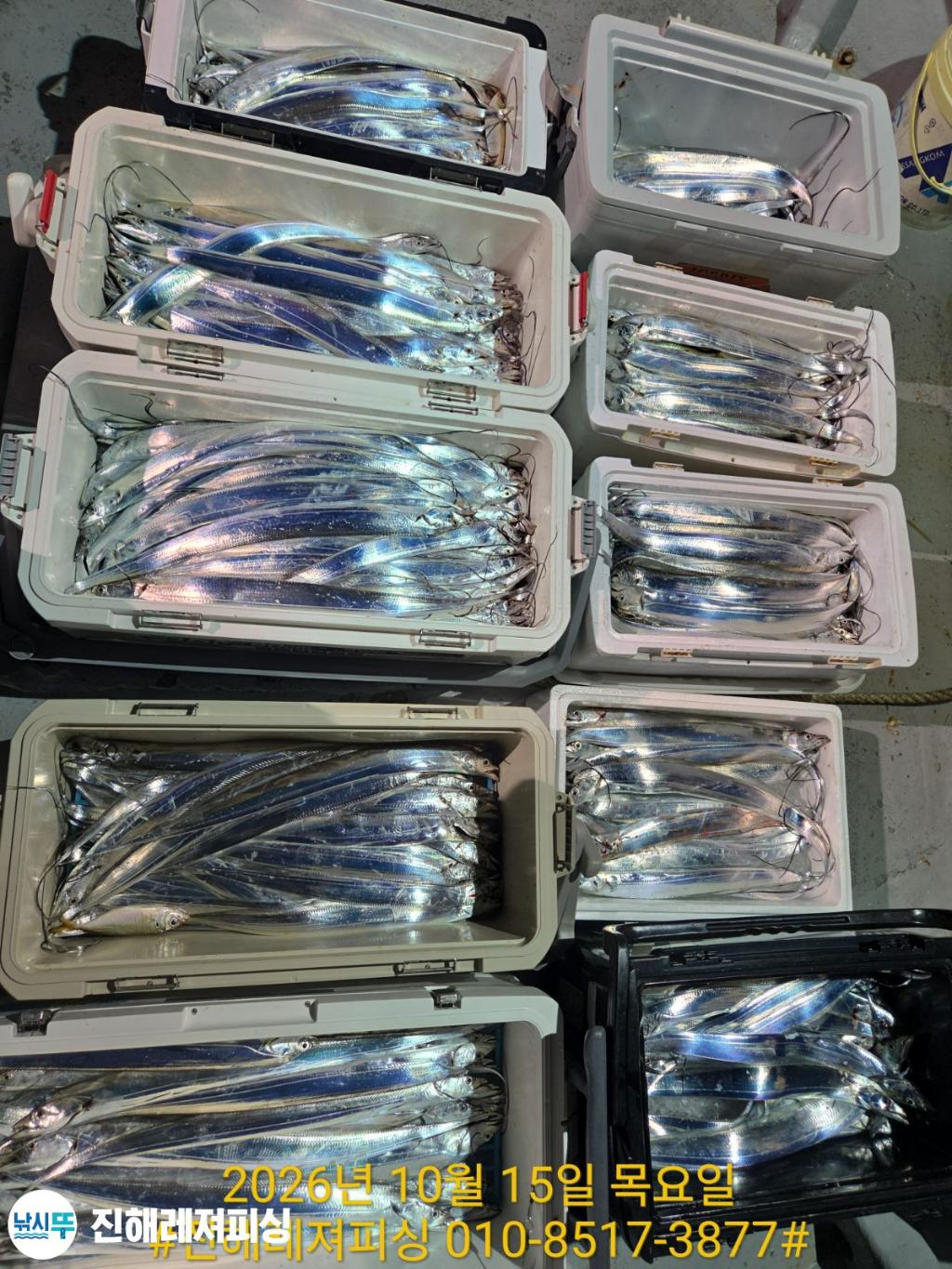 낚시뚜,갈치,진해1부두항,진해레져피싱,낚시뚜19