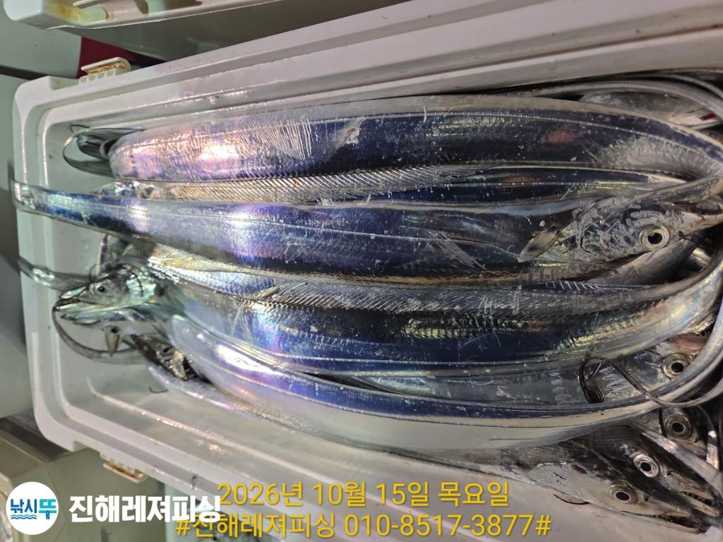 낚시뚜,갈치,진해1부두항,진해레져피싱,낚시뚜15