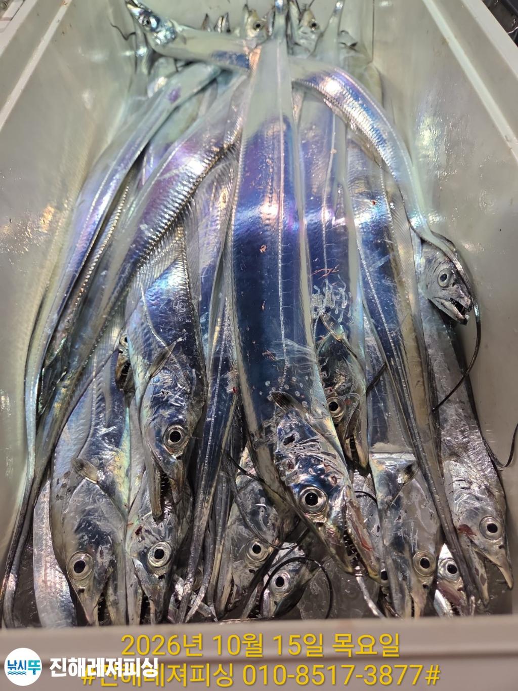 낚시뚜,갈치,진해1부두항,진해레져피싱,낚시뚜12