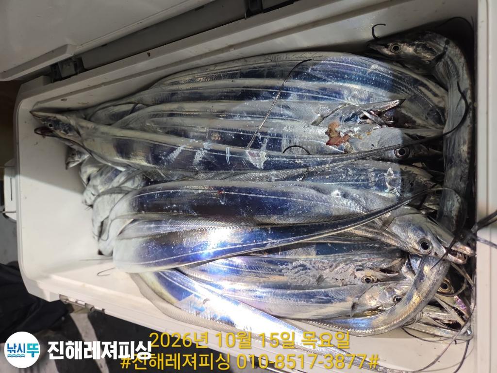 낚시뚜,갈치,진해1부두항,진해레져피싱,낚시뚜11